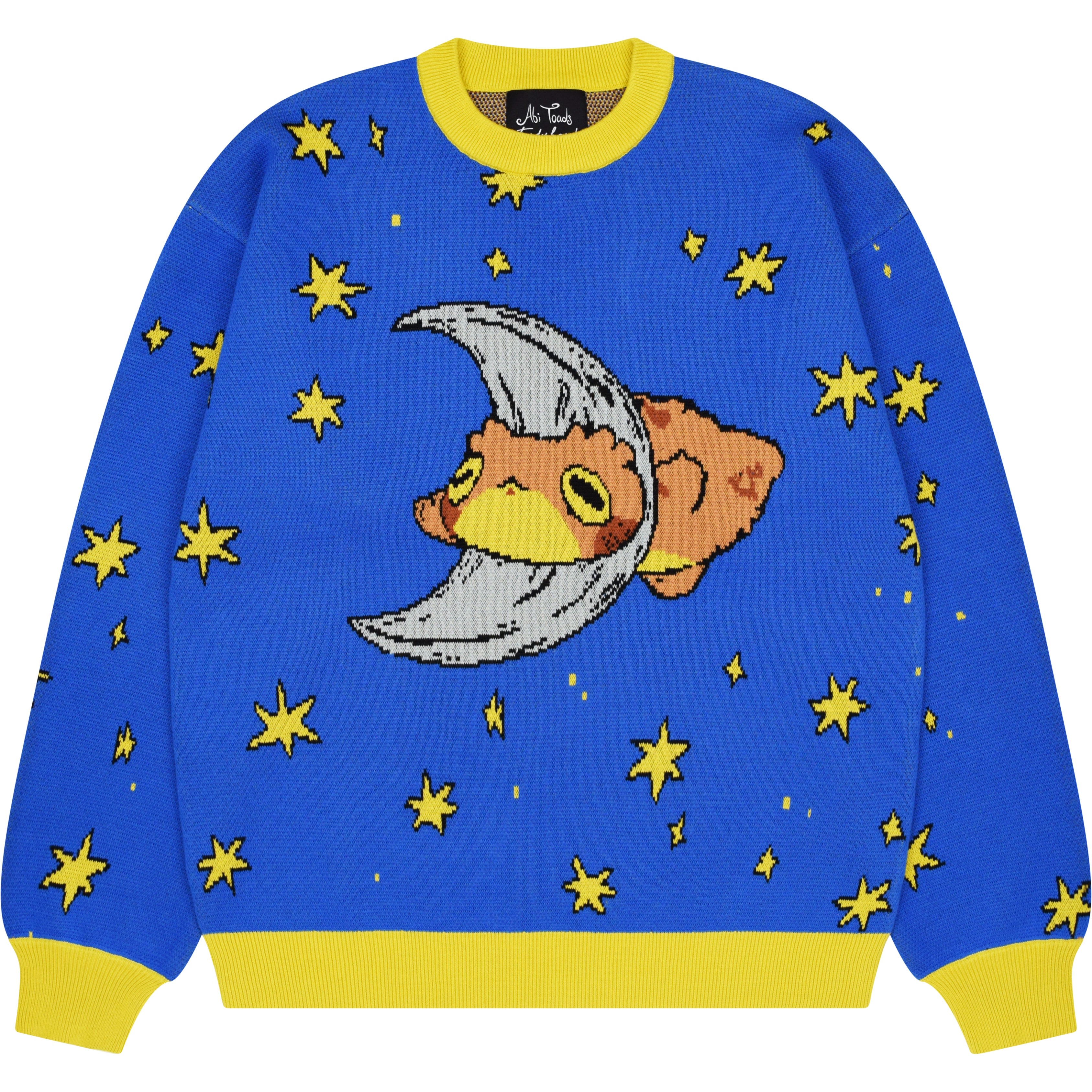 Quasiニットec melodi punkandyo Celestial Toad Sweater – Steady Hands
