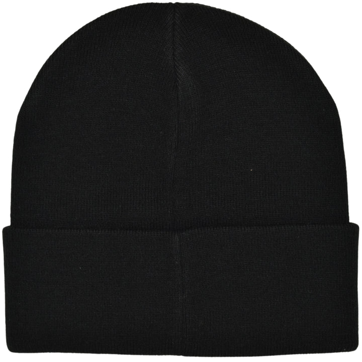 Ebisu Beanie
