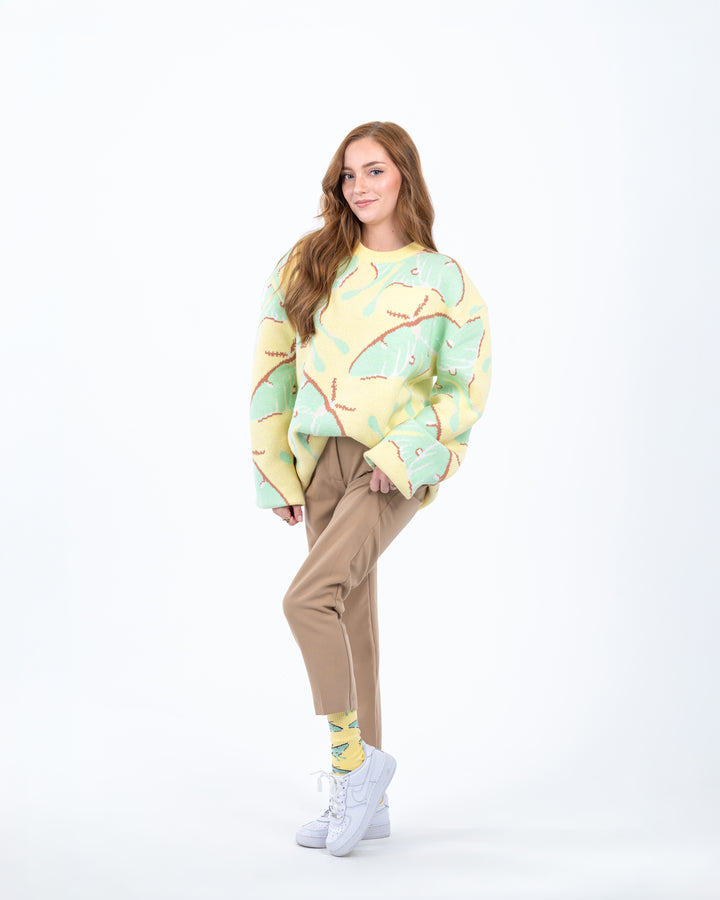 Luna Moth Sweater