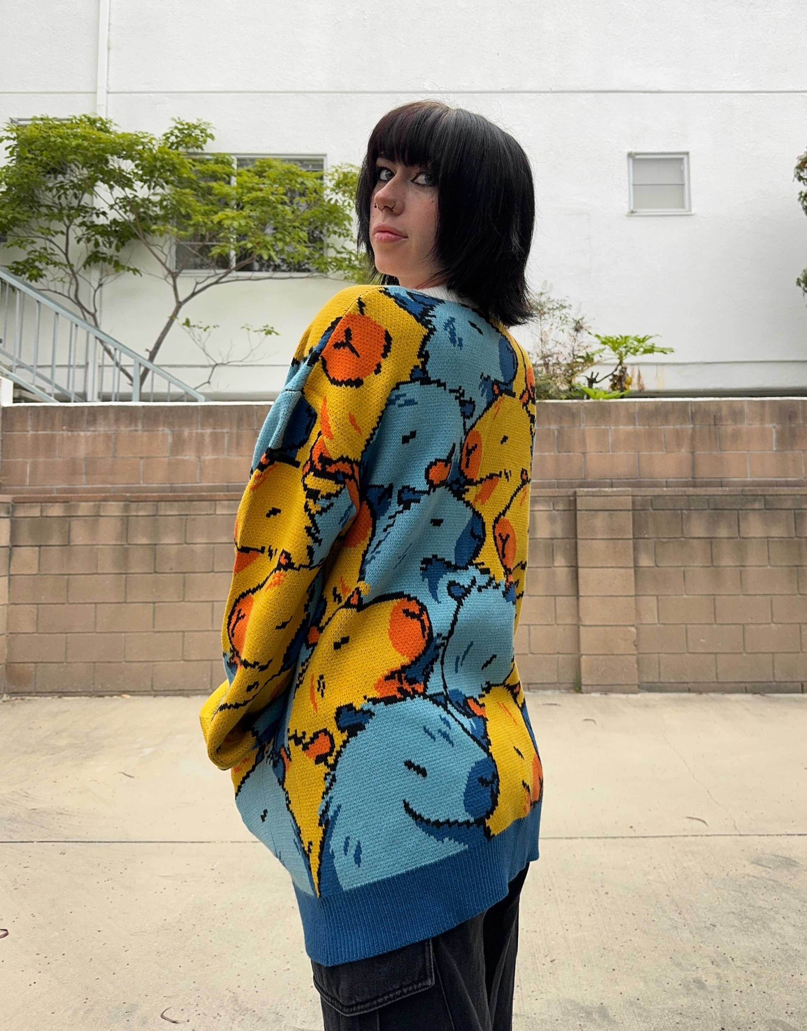 Aroace Capybara Cardigan – Steady Hands