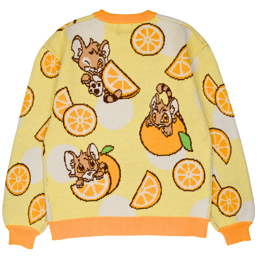 Baby Kougra Orange Sweater