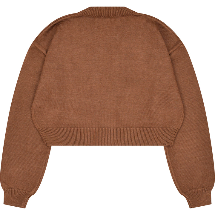 Cropped Brown Envy Cardigan
