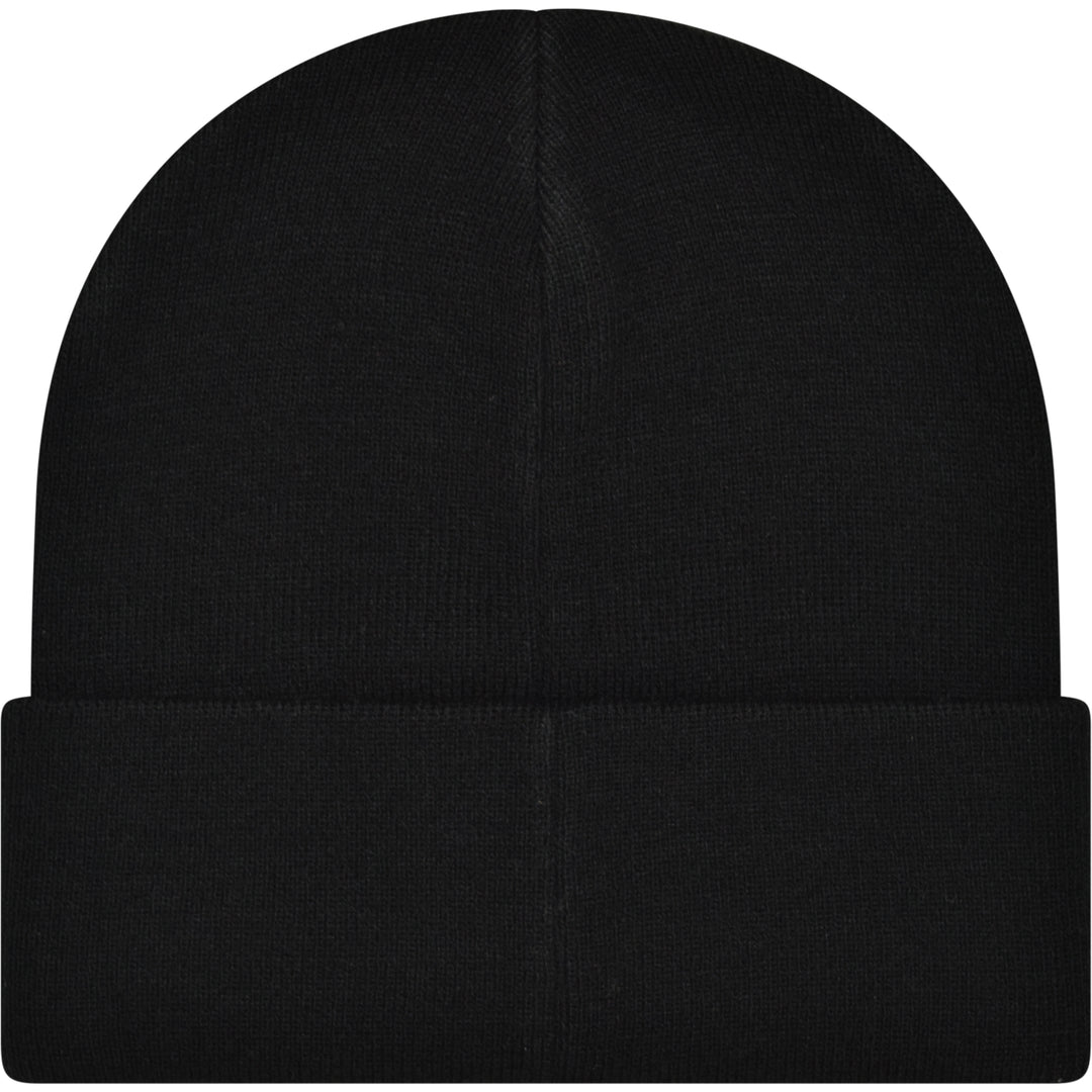 Ebisu Beanie