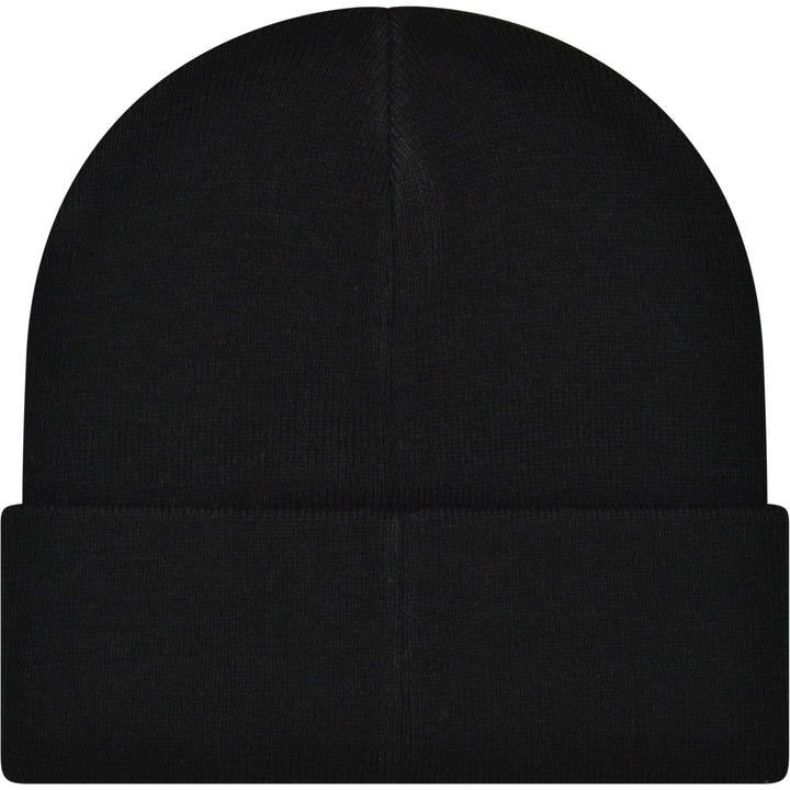 Ebisu Beanie