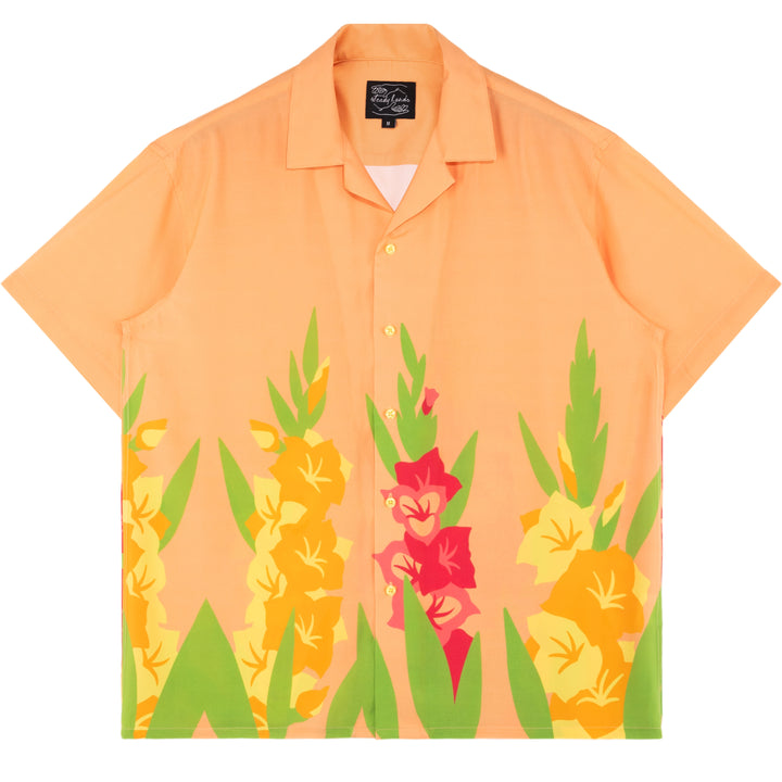Gladiolus Button Up