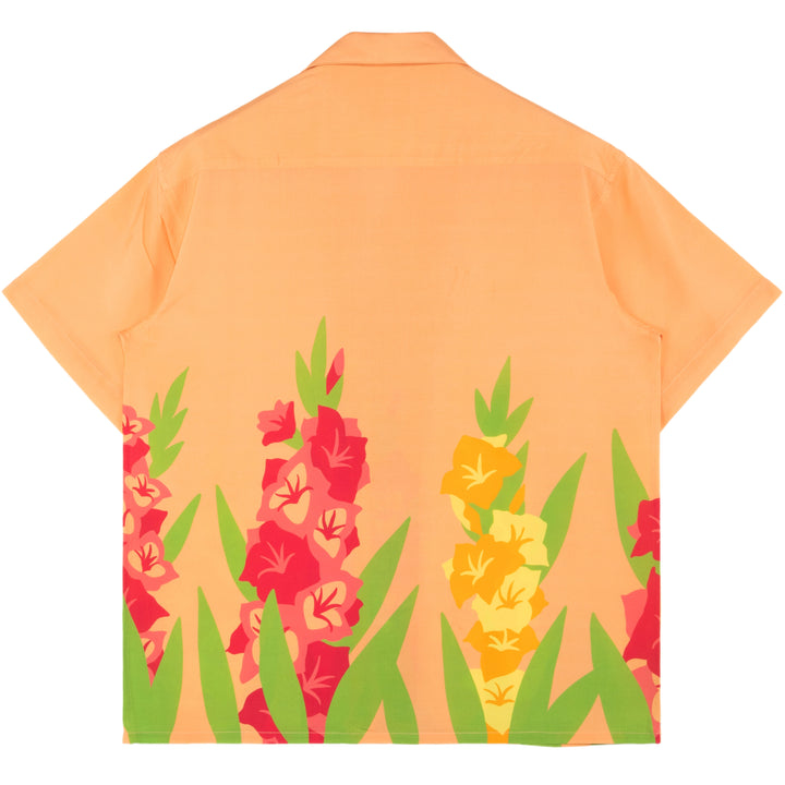 Gladiolus Button Up
