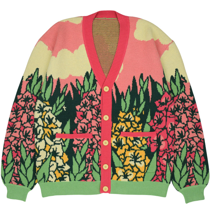 Gladiolus Cardigan