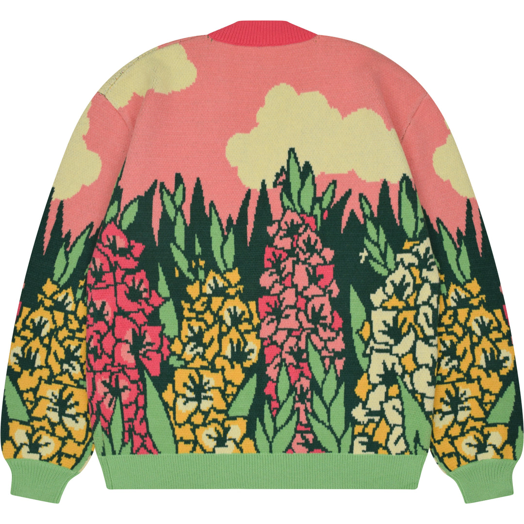 Gladiolus Cardigan