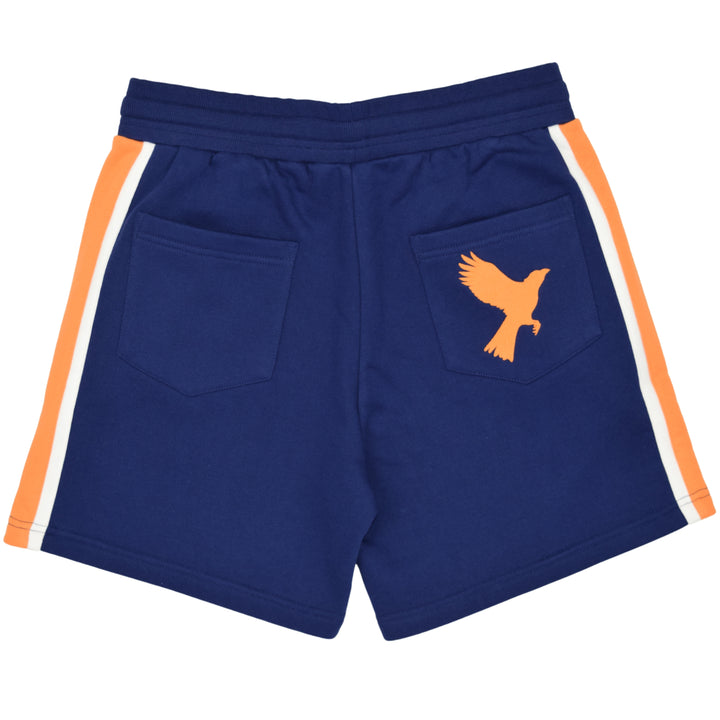 Karasuno Shorts