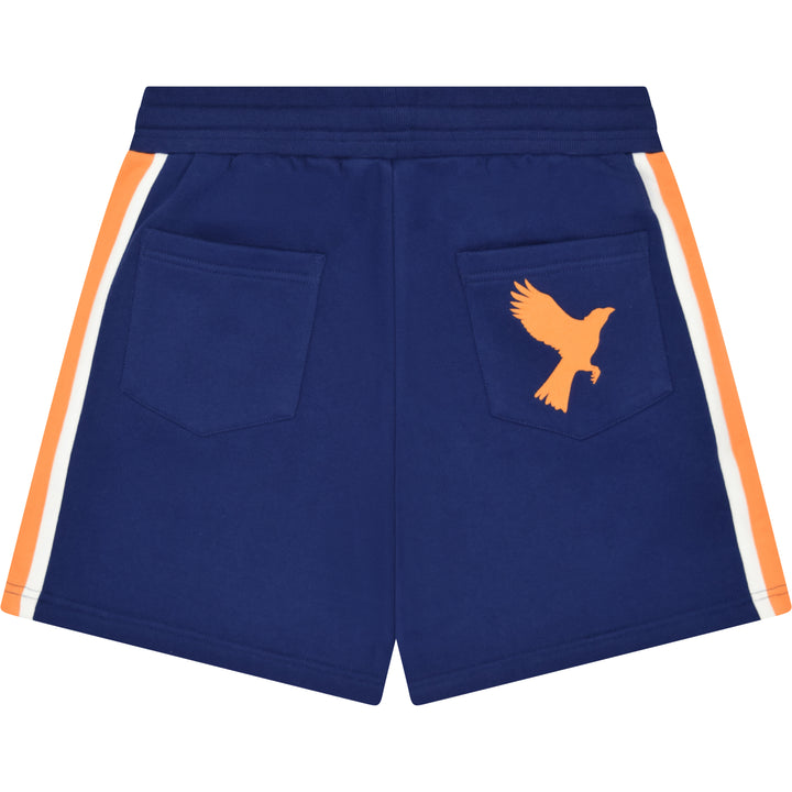 Karasuno Shorts