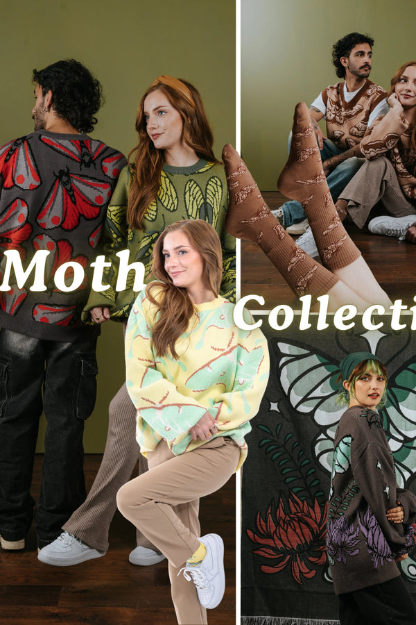 Moth Collection