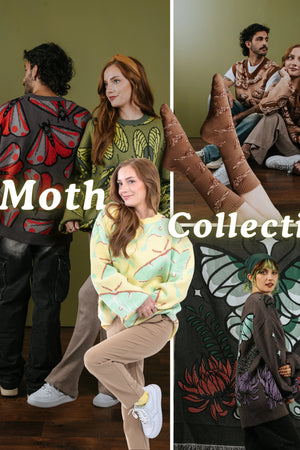 Moths
