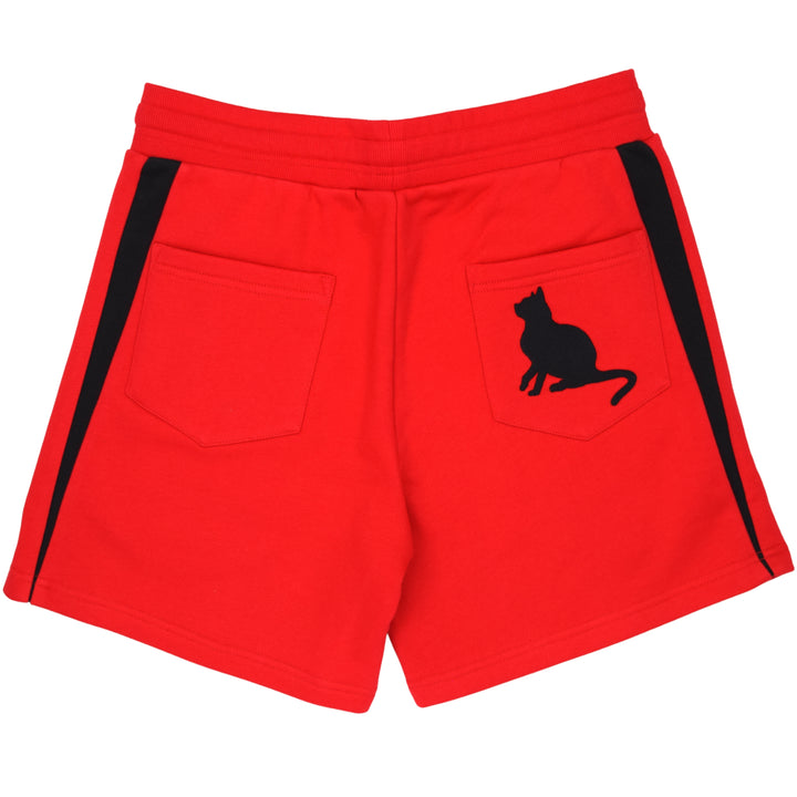 Nekoma Shorts