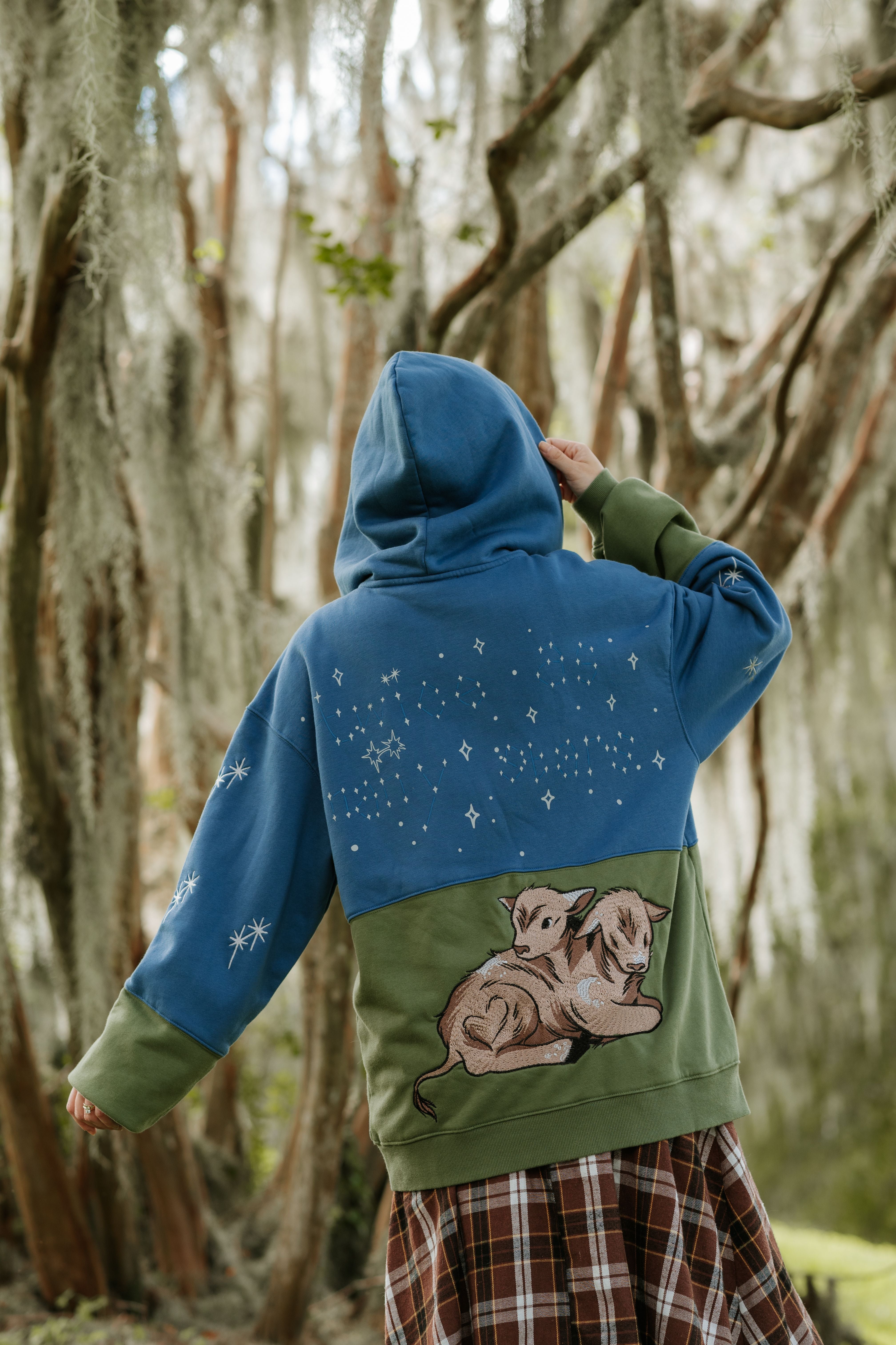 Twice as Many Stars Zip Up Hoodie – Steady Hands