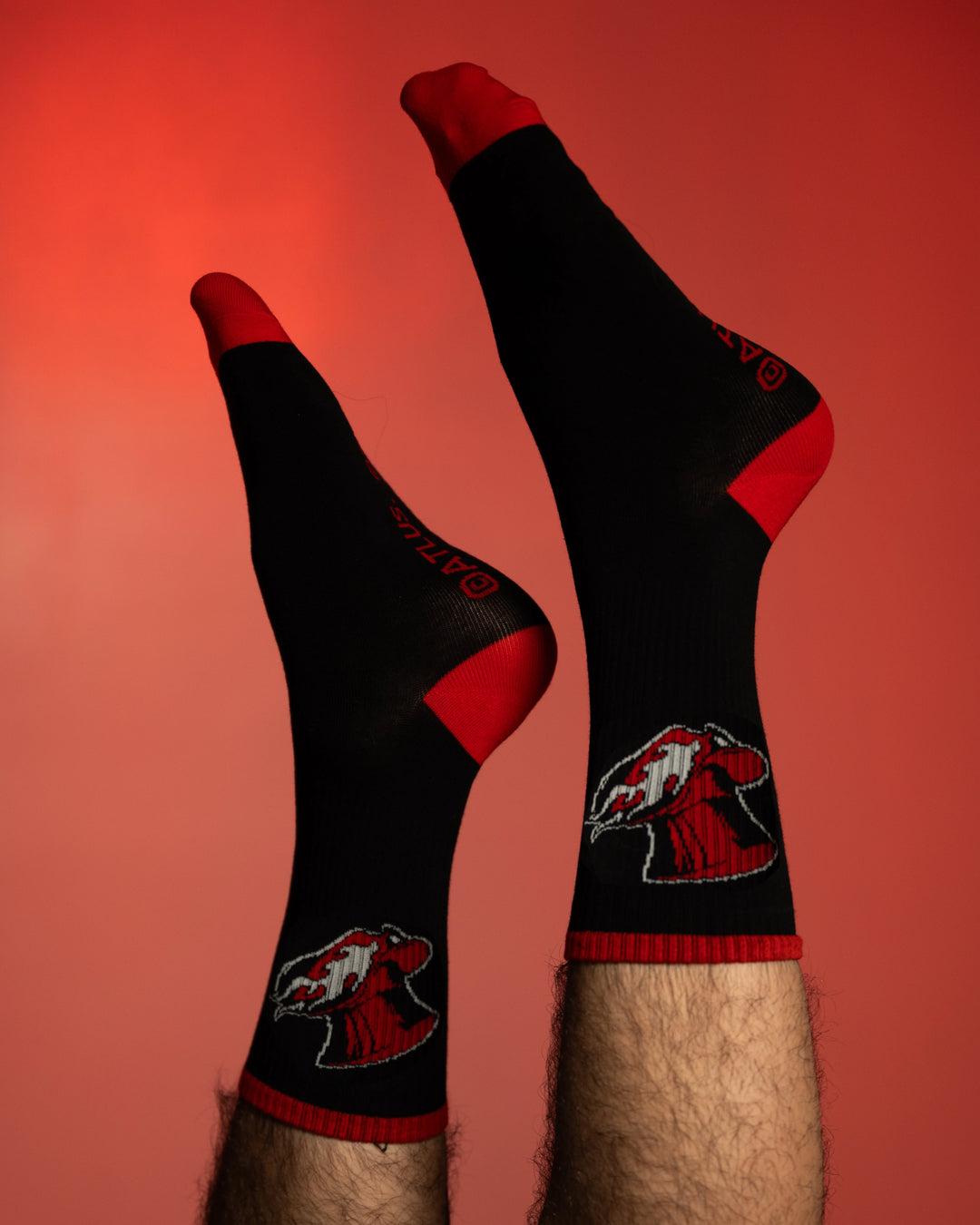Phantom Thieves Socks
