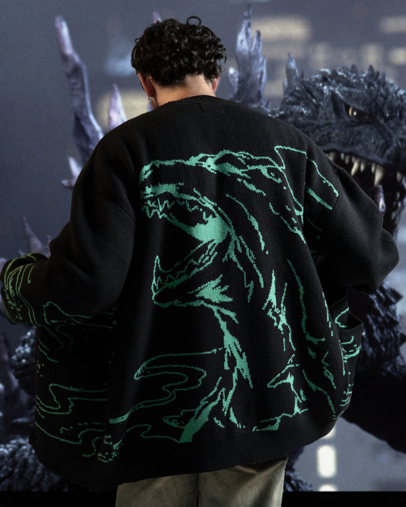 Lookbook Image