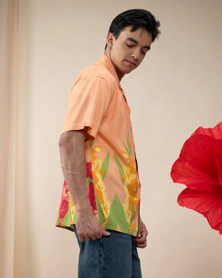 Gladiolus Button Up