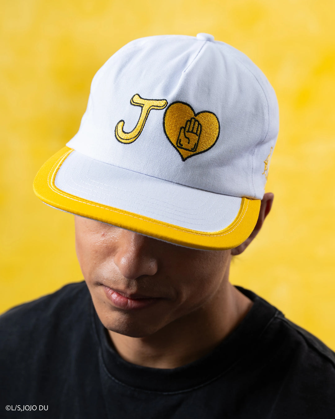 Jotaro Hat