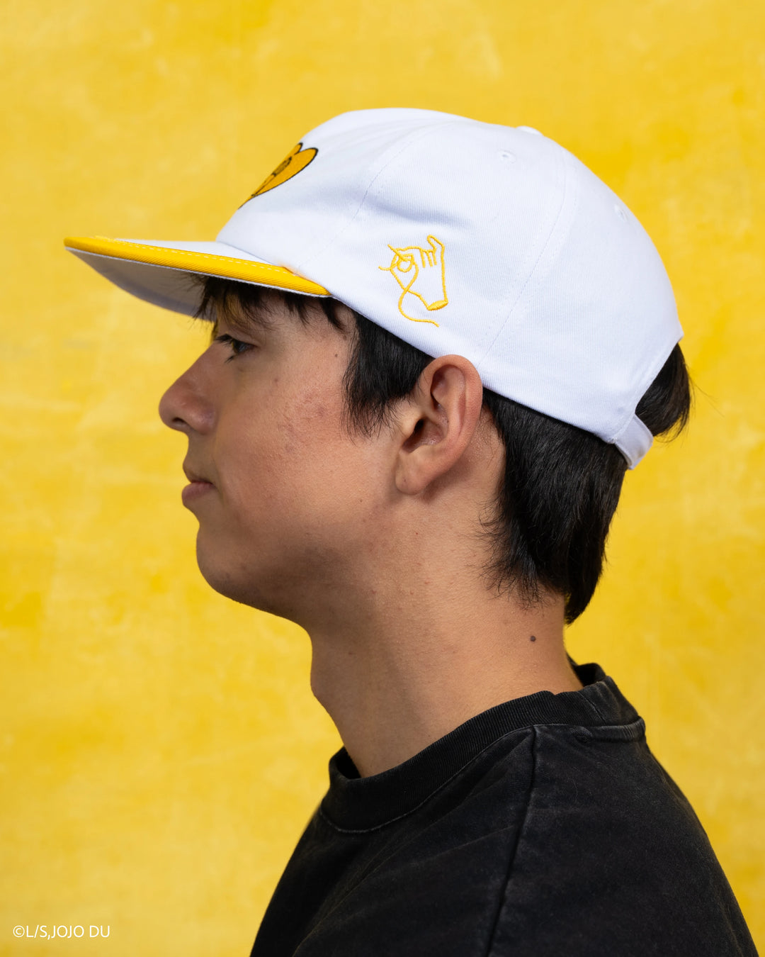 Jotaro Hat