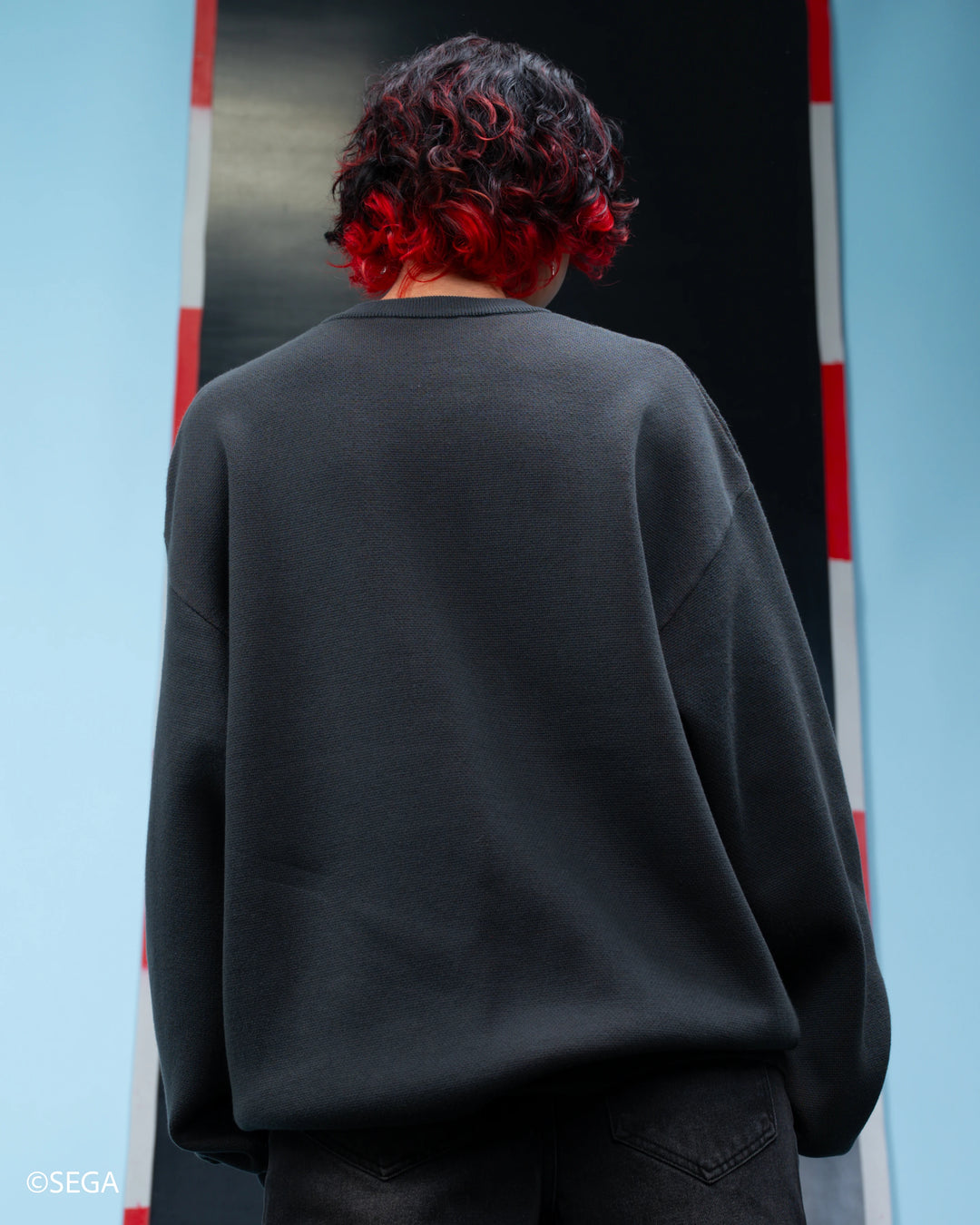 Ultimate Lifeform Sweater