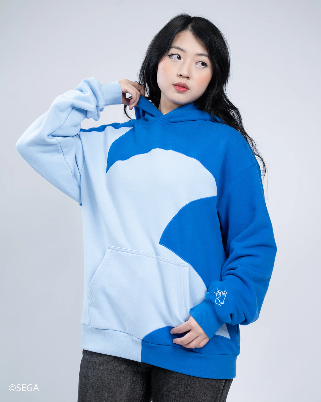 Sonic Hoodie