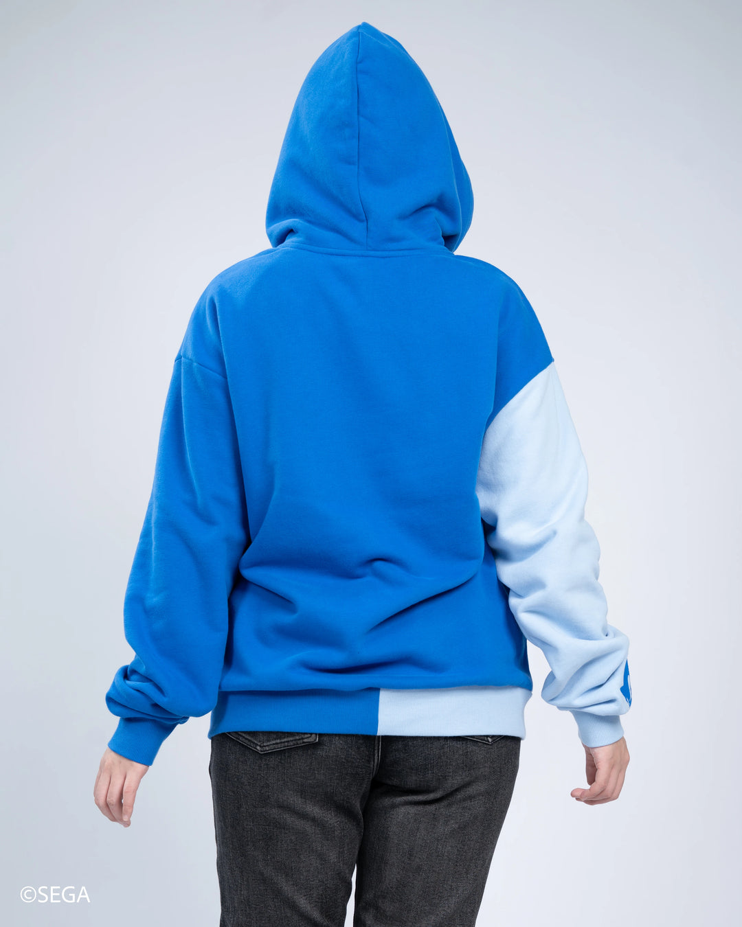 Sonic Hoodie