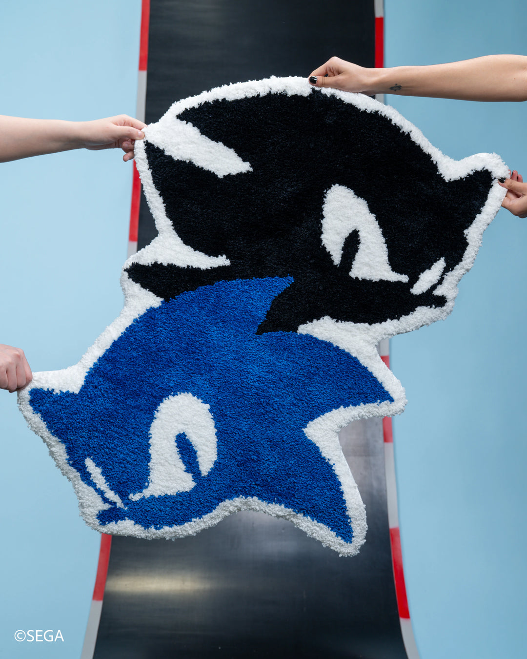 Sonic x Shadow Rug