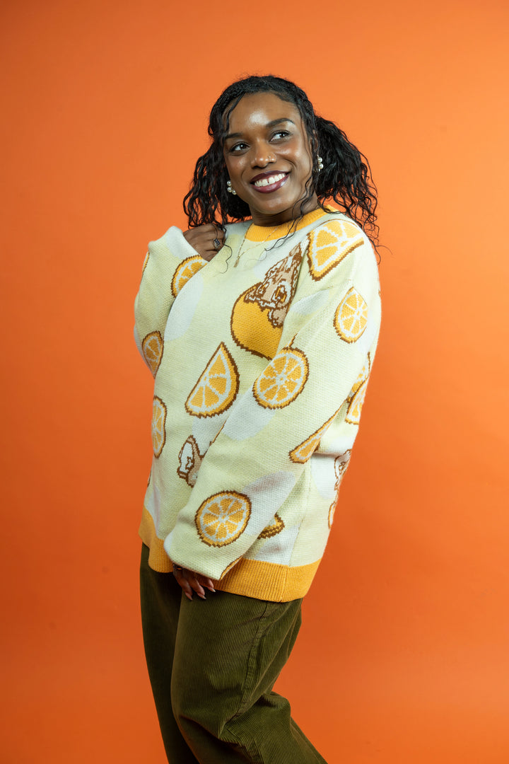 Baby Kougra Orange Sweater