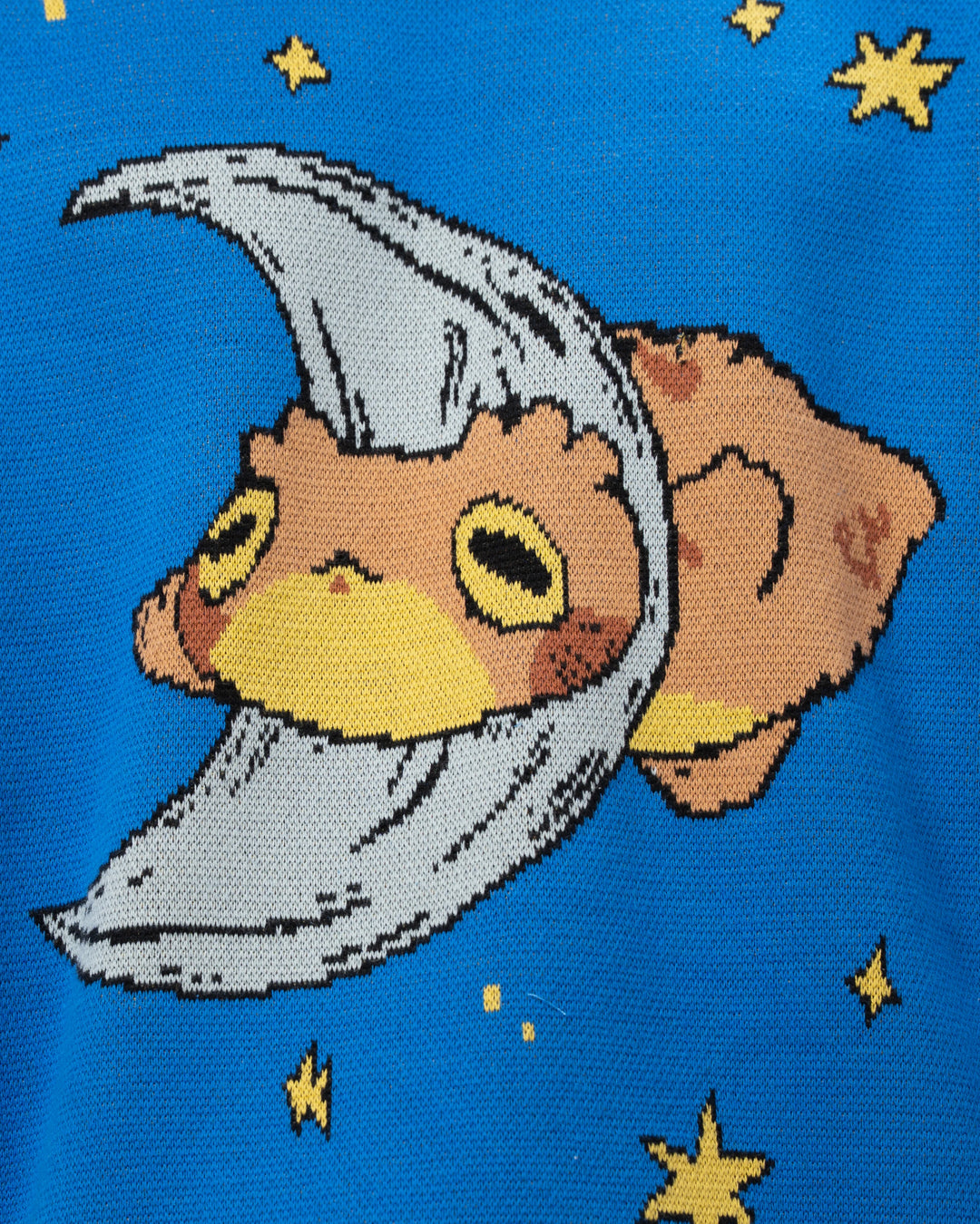 Celestial Toad Sweater
