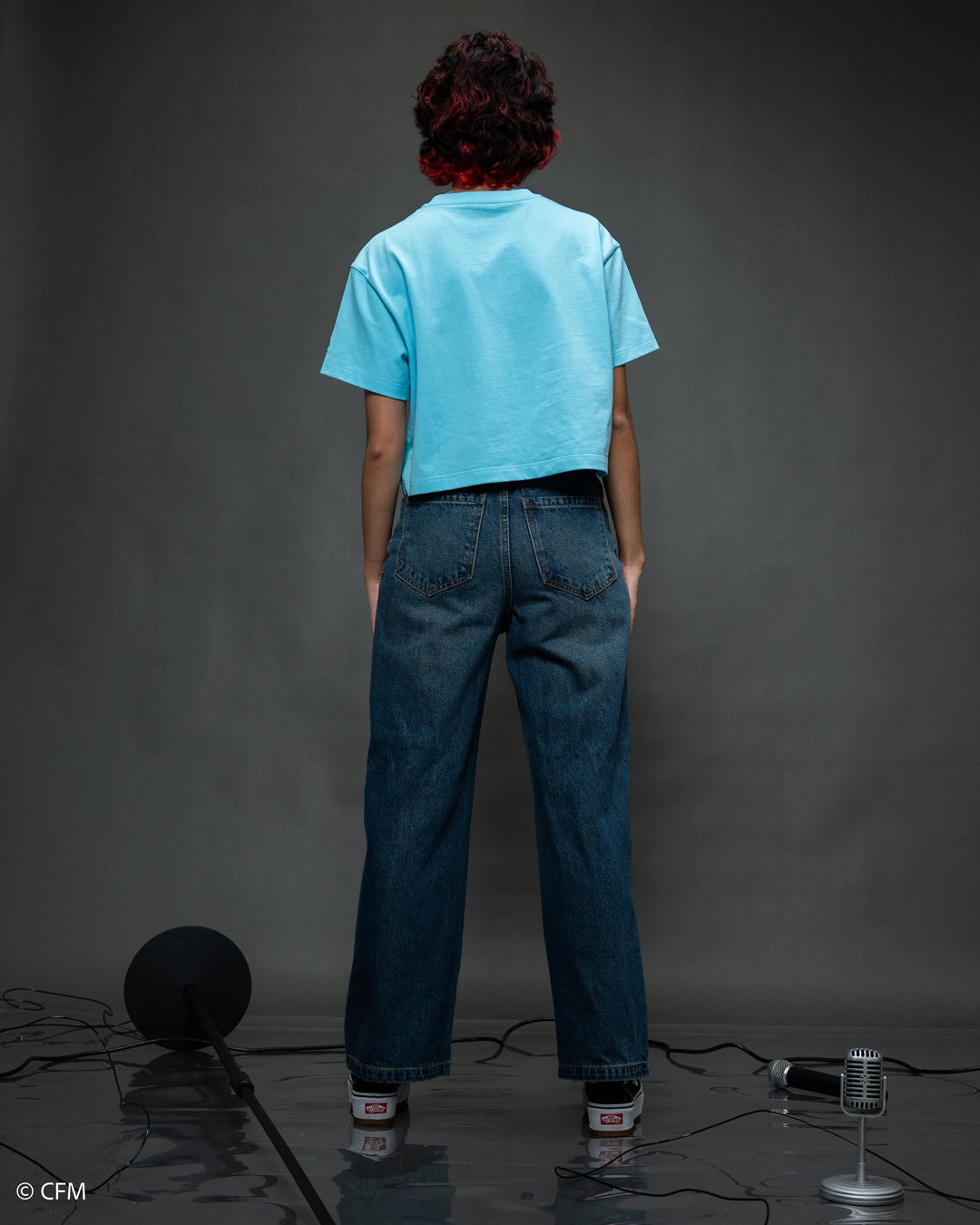 Miku Cropped Tee [PRE-APPROVAL]
