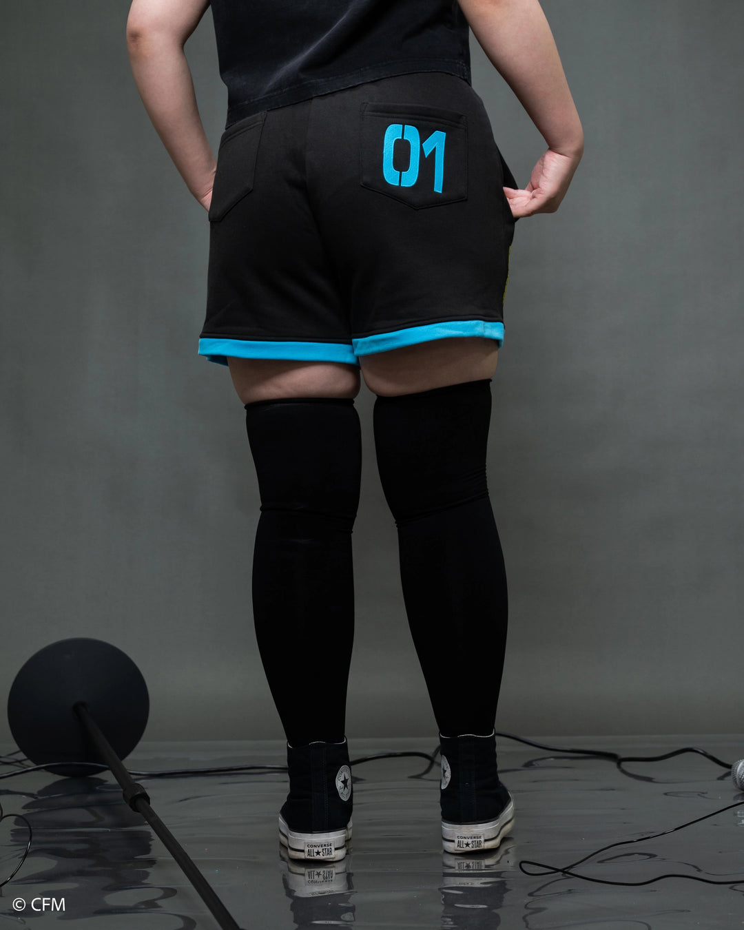 Hatsune Miku Shorts [PRE-APPROVAL]