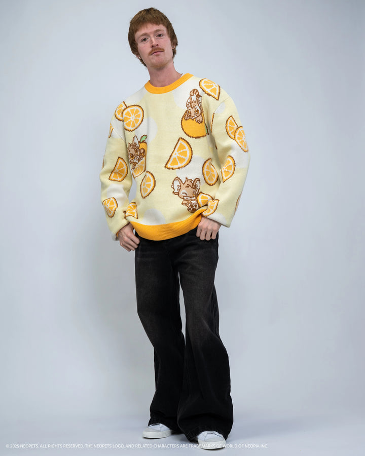 Baby Kougra Orange Sweater