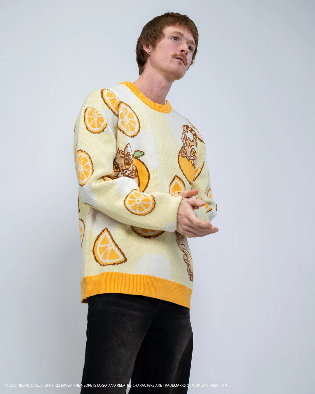 Baby Kougra Orange Sweater