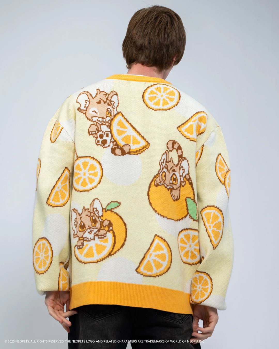 Baby Kougra Orange Sweater