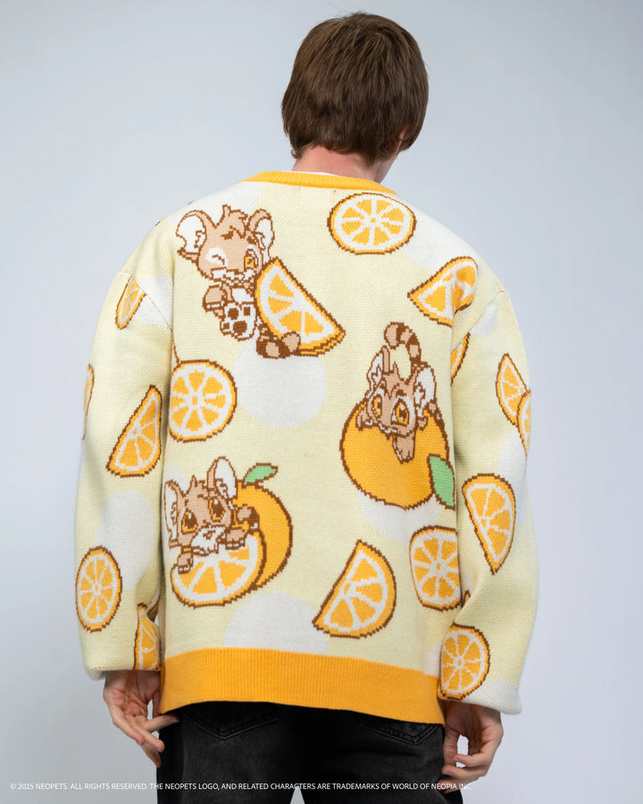 Baby Kougra Orange Sweater