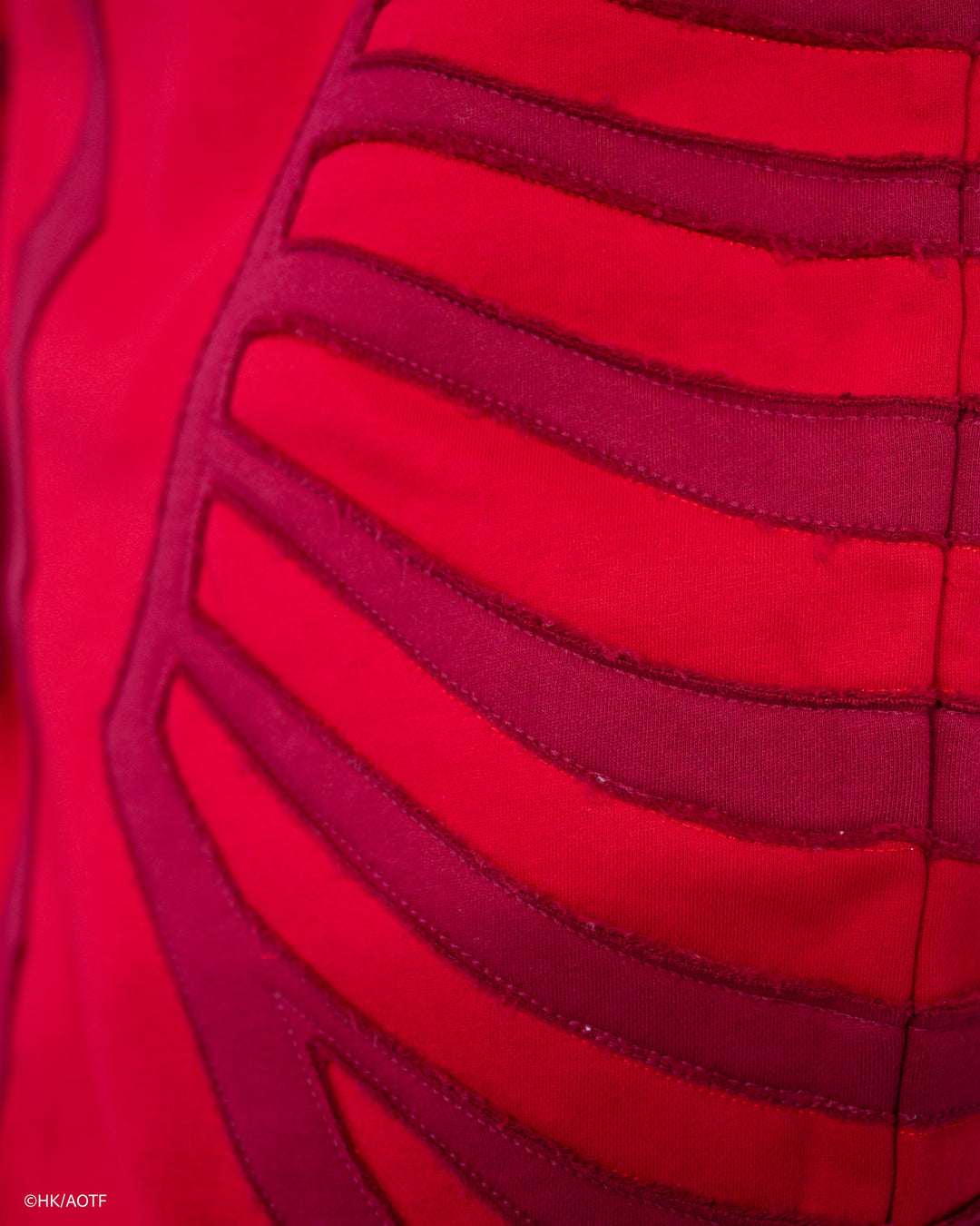 Colossal Titan Hoodie