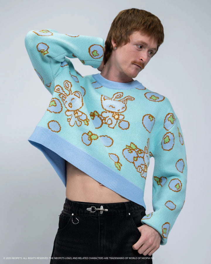 Cropped Baby Aisha Blueberry Sweater