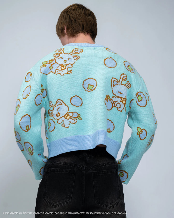 Cropped Baby Aisha Blueberry Sweater