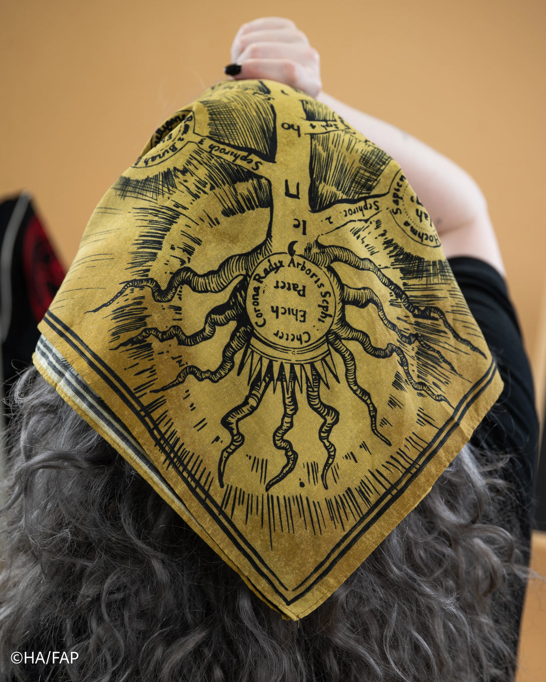 Door of Truth Bandana