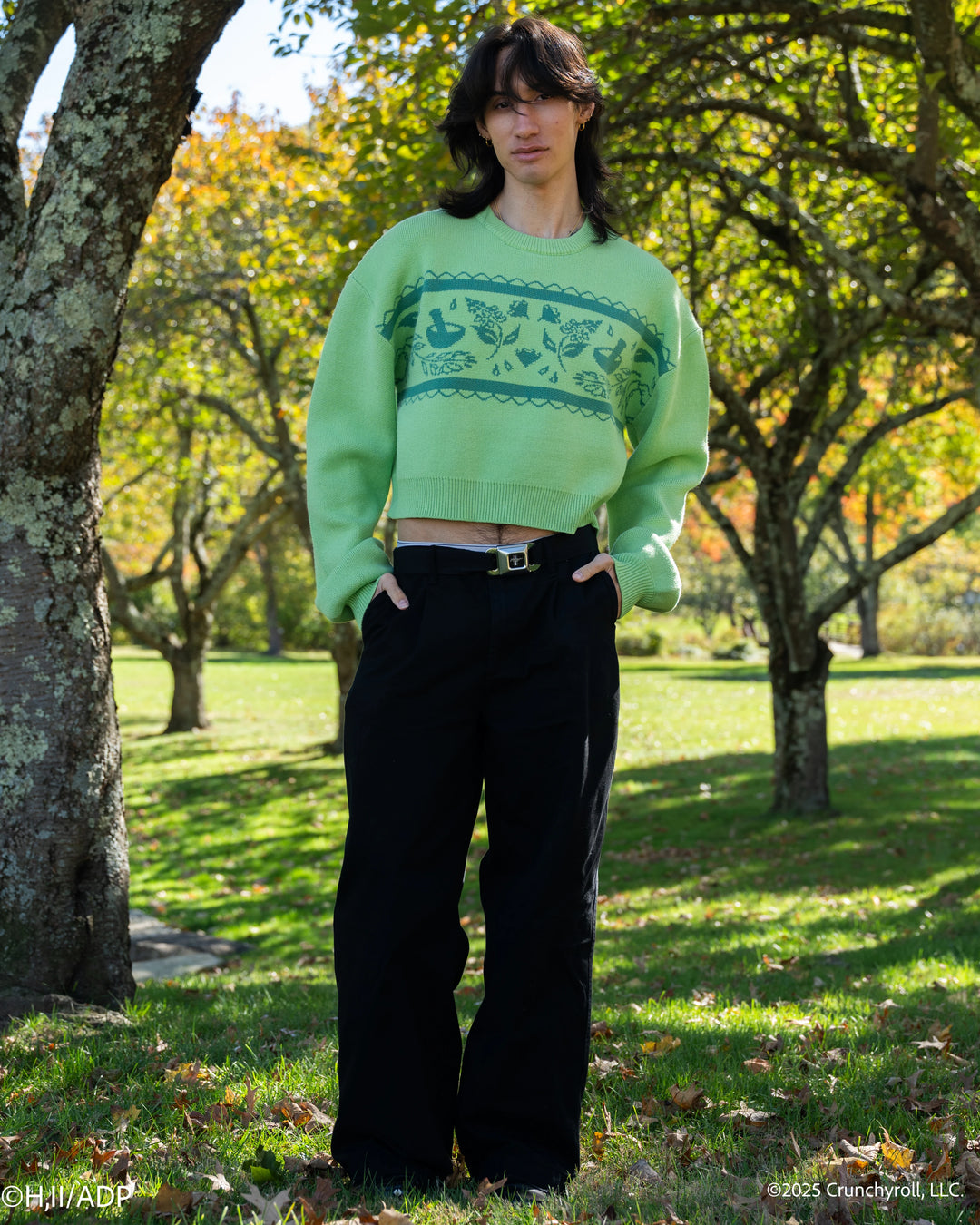 Cropped Apothecary Sweater