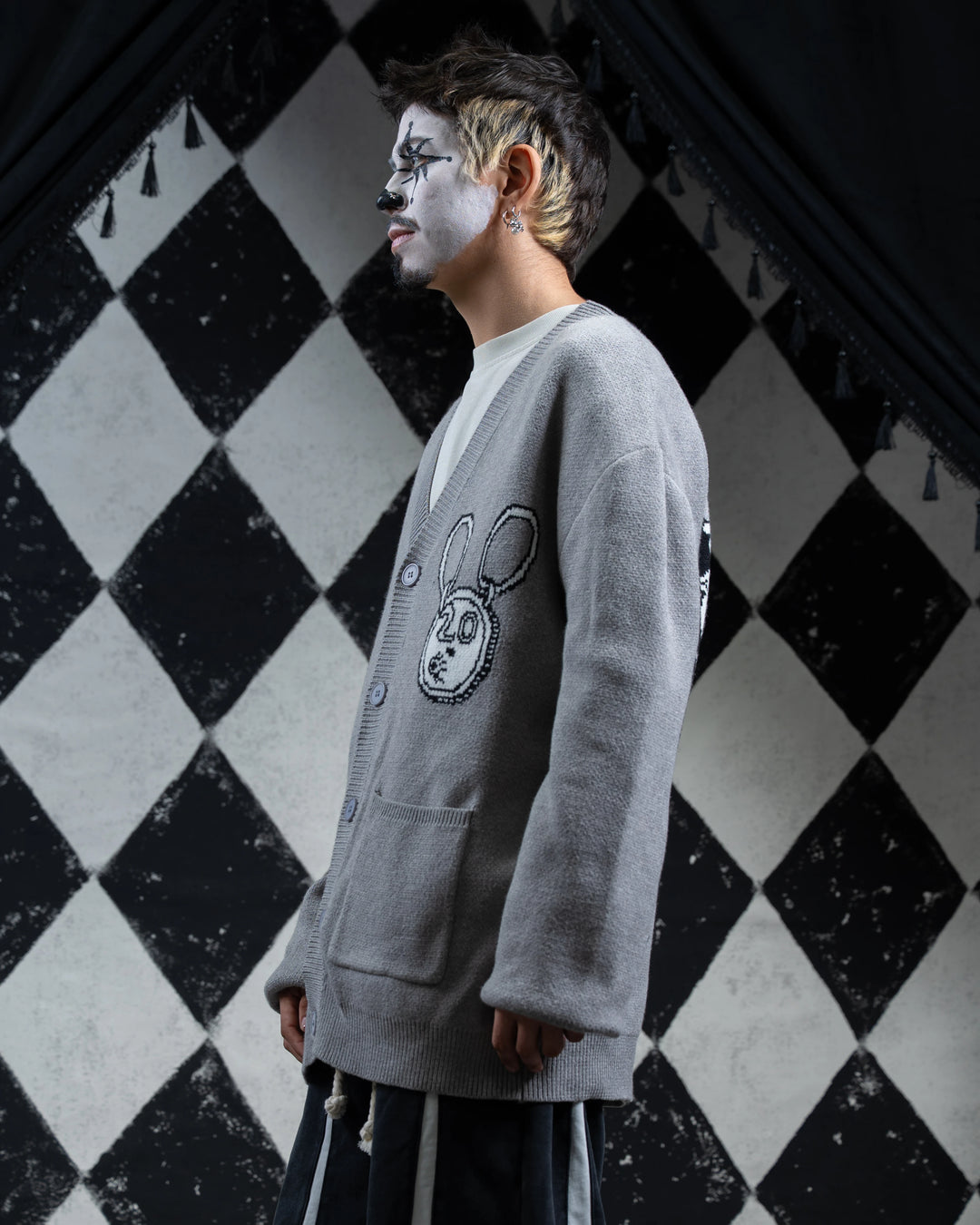 St James Infirmary Cardigan