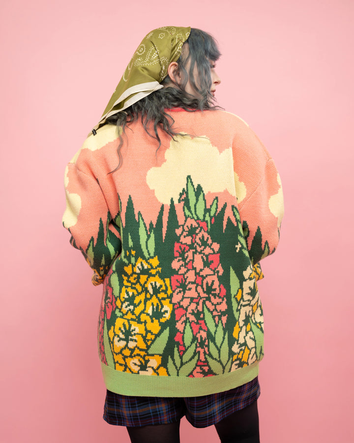 Gladiolus Cardigan