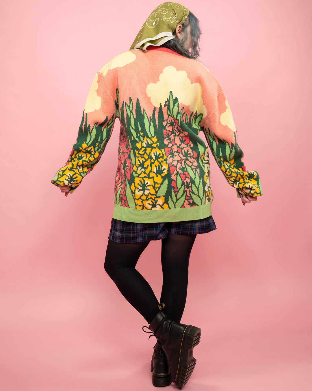 Gladiolus Cardigan