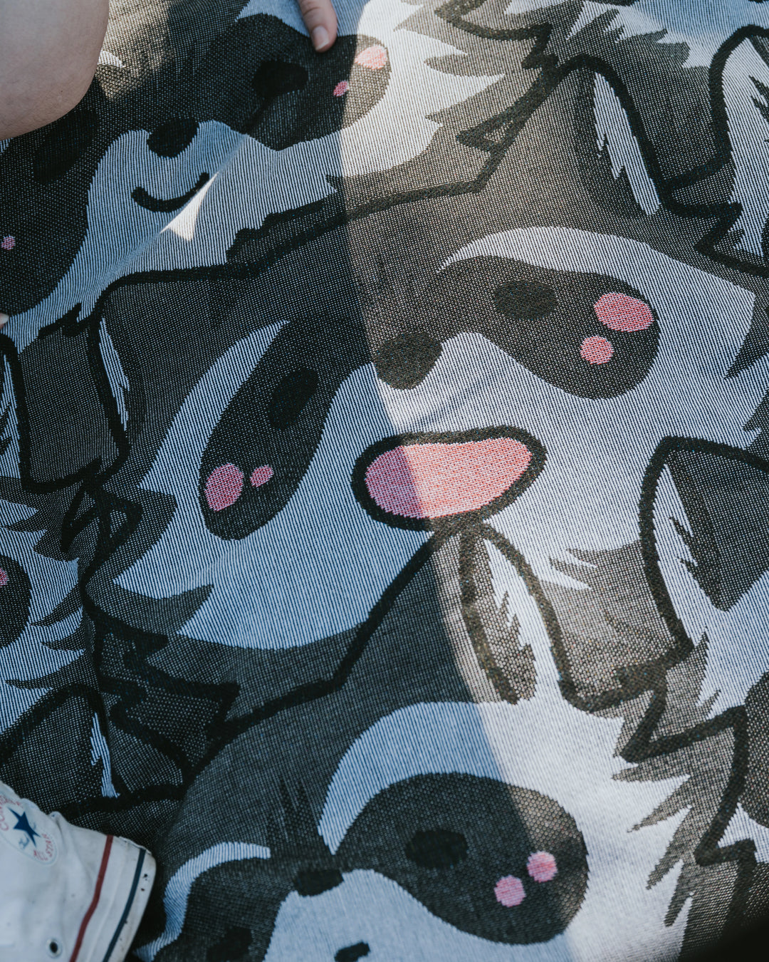 Nice Racc-oon Blanket