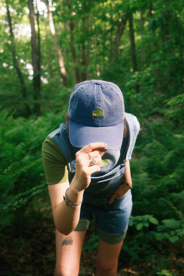 Frog Denim Hat