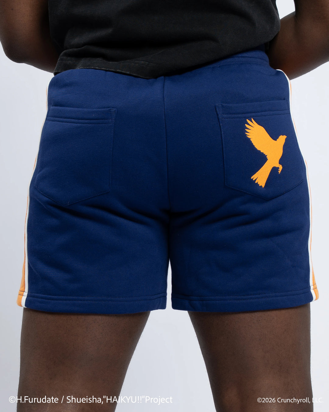 Karasuno Shorts